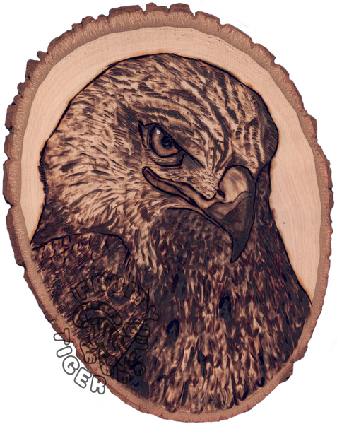 Red hawk woodburning on live wood