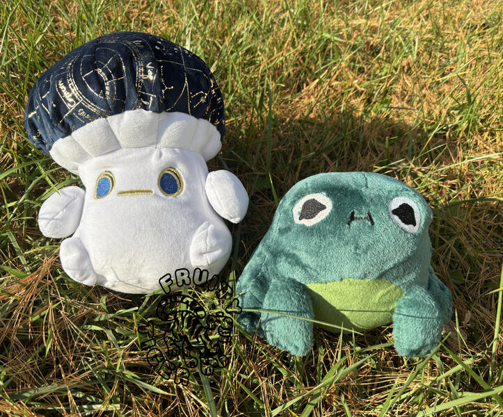 Mushroom and frog handmade plush, pattern by Cholyknight