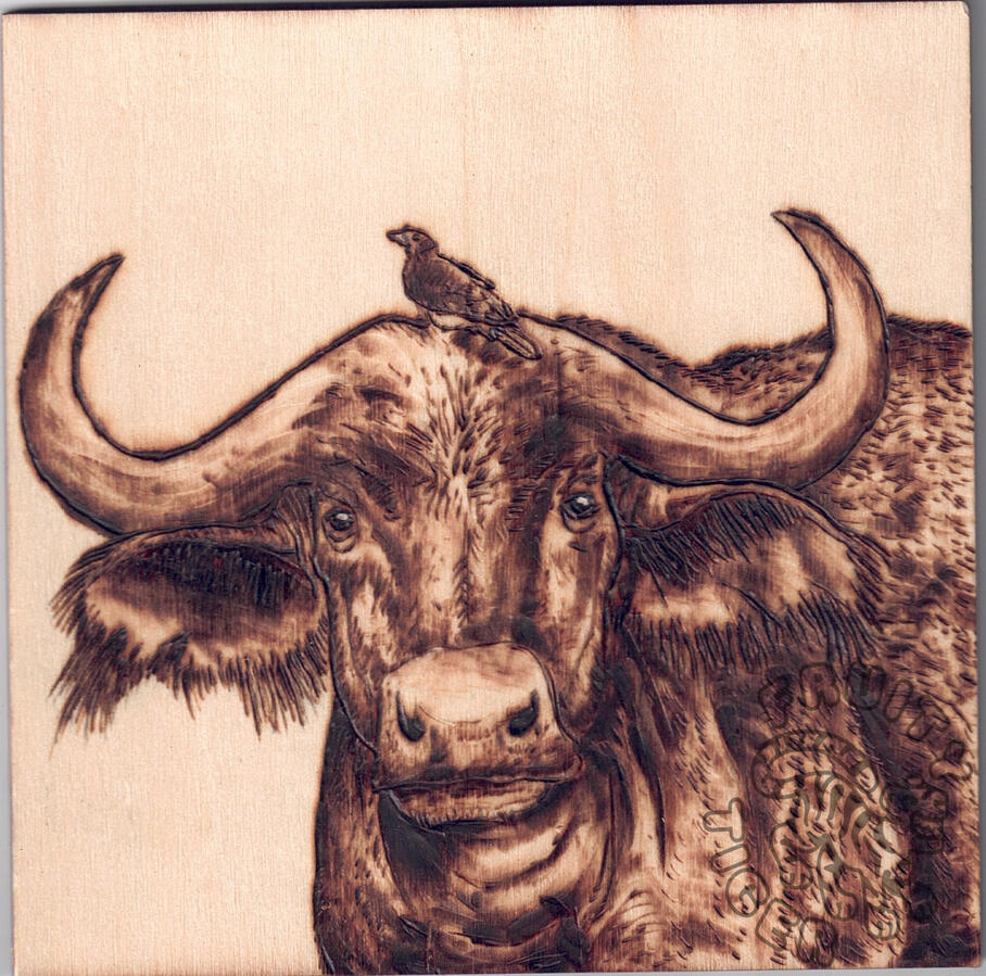 Bull Square Bull Square