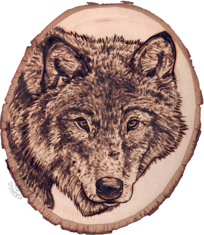 Wolf Wolf