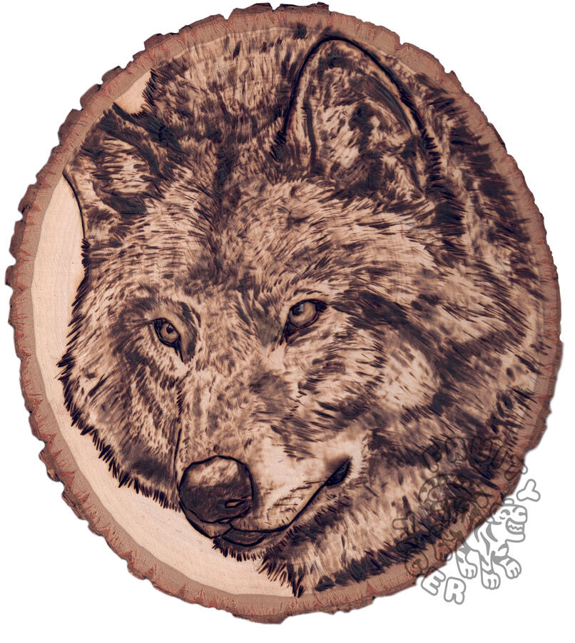 Wolf Wolf