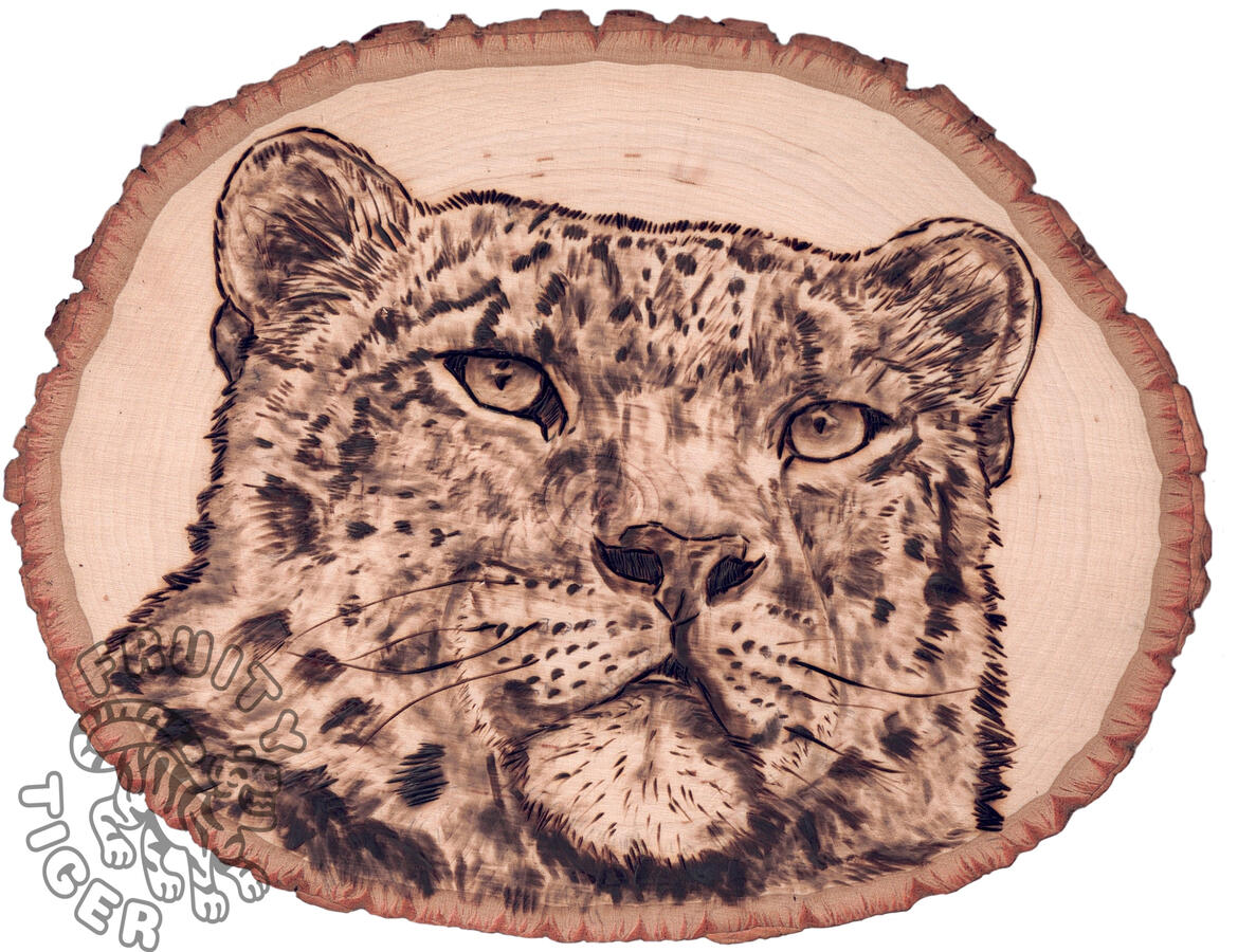 Snow Leopard Snow Leopard