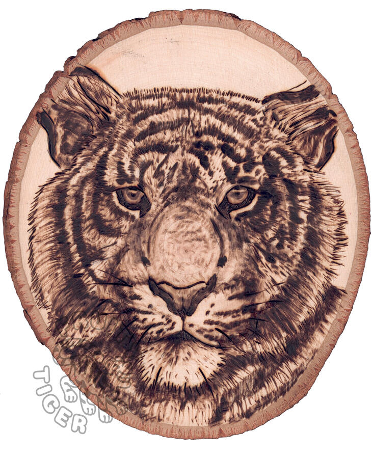 Tiger Tiger