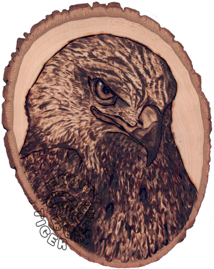 Red hawk Red hawk